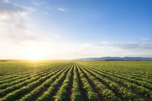 Atra GRI mezőgazdasági abroncs